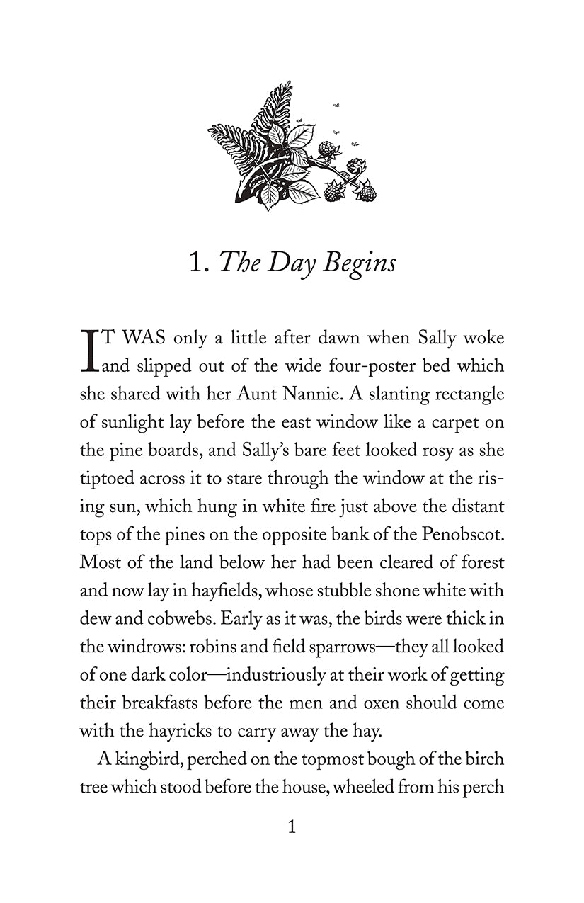 The Wonderful Day