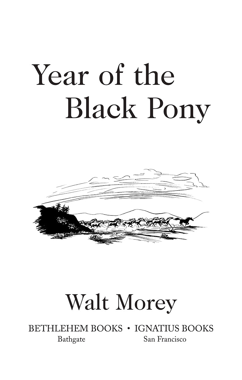 Year of the Black Pony