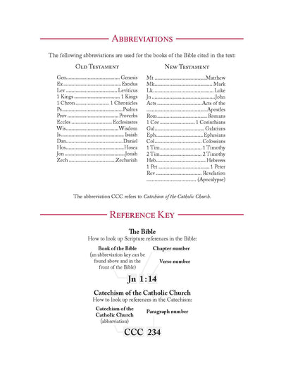 I Believe, We Believe: An Illustrated Journey through the Apostles' Creed