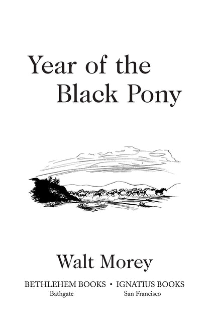 Year of the Black Pony